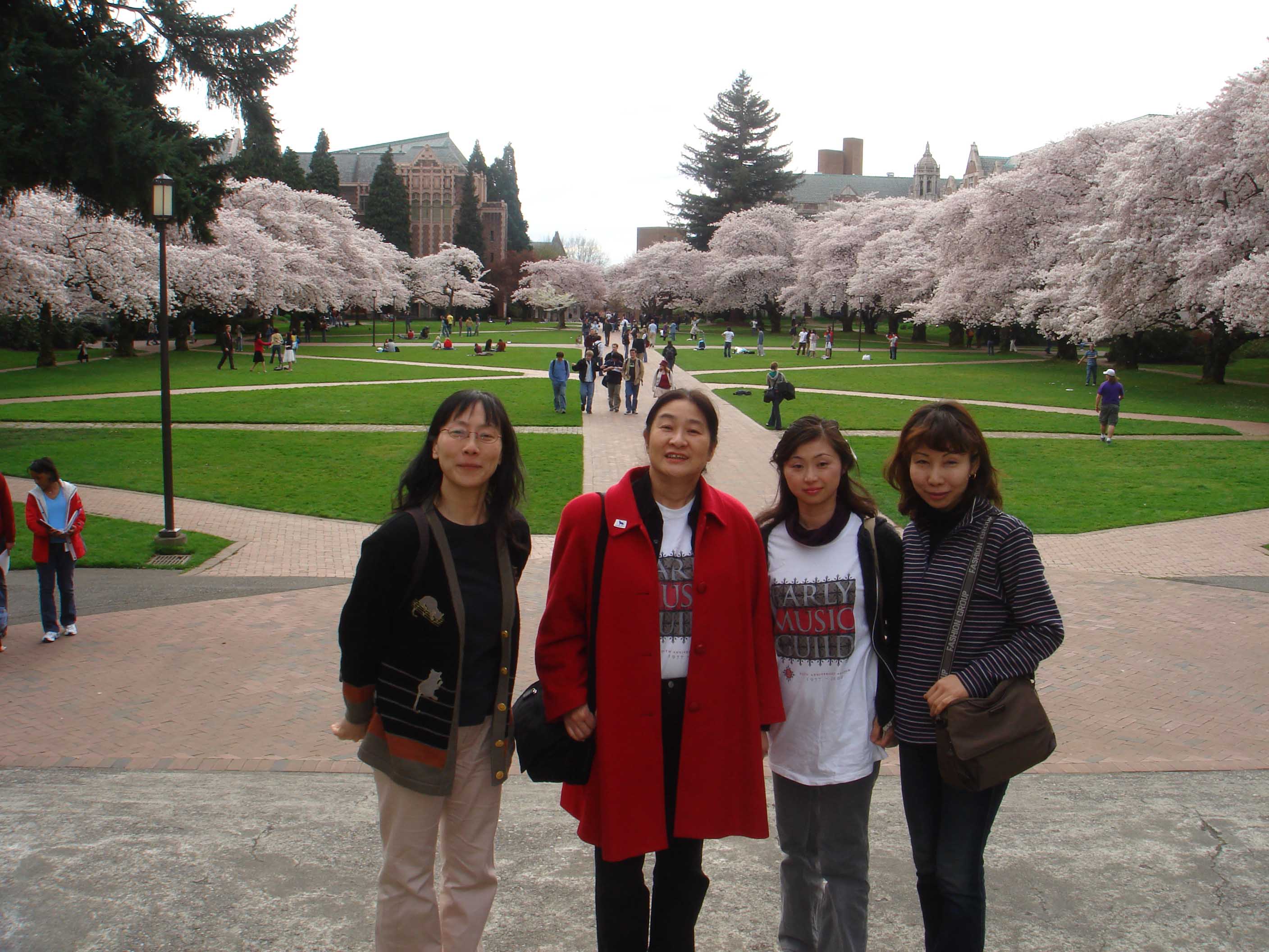 ウィスコンシン大学の満開の桜
